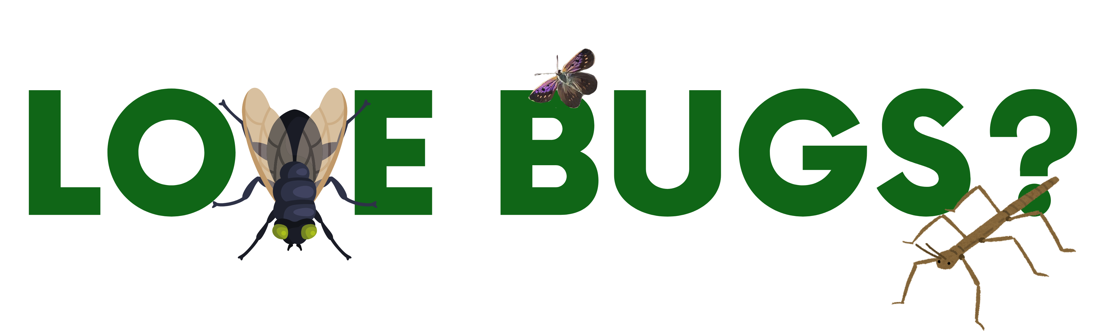 Love_Bugs_Banner.png